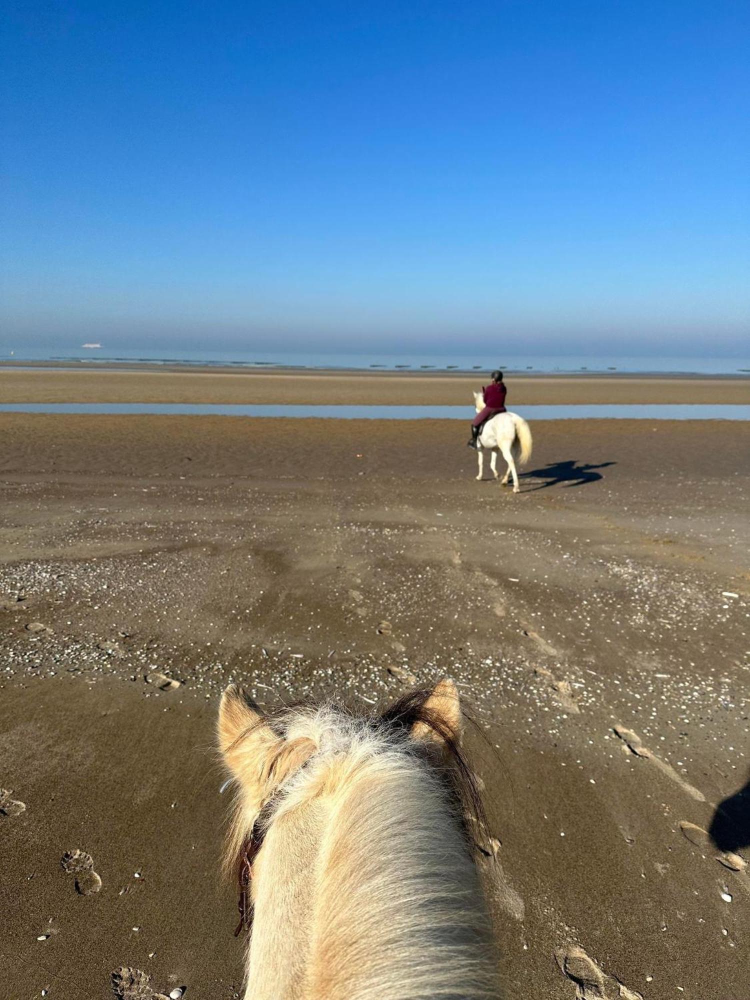 Апартаменты Ferme Equestre Oye-Plage Экстерьер фото